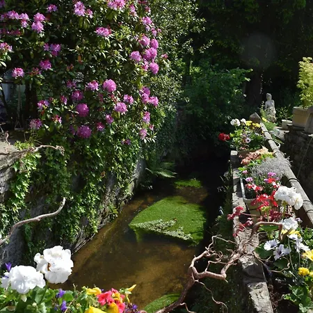 D'hotes Bains-les-Bains