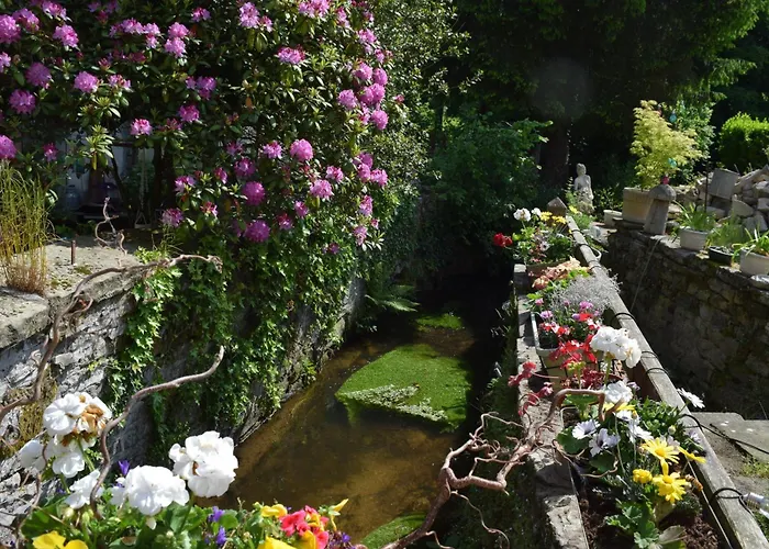 D'hotes Bed & Breakfast Bains-les-Bains